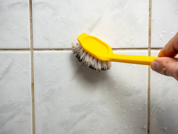 Best Residential Mold Removal  in South Daytona, FL