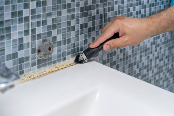 Best Mold Remediation  in South Daytona, FL